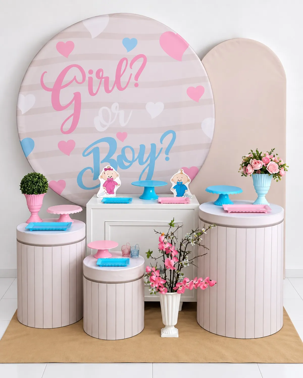 cha revelaçao girl or bay