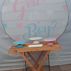 cha revelaçao / girl or boy