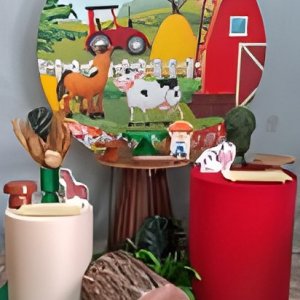 FAZENDINHA menino /