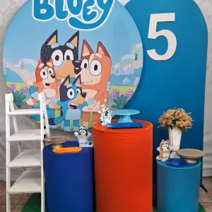 bluey 5