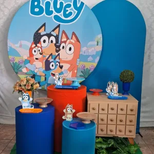bluey 3