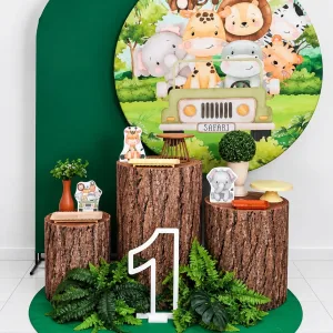 safari 6